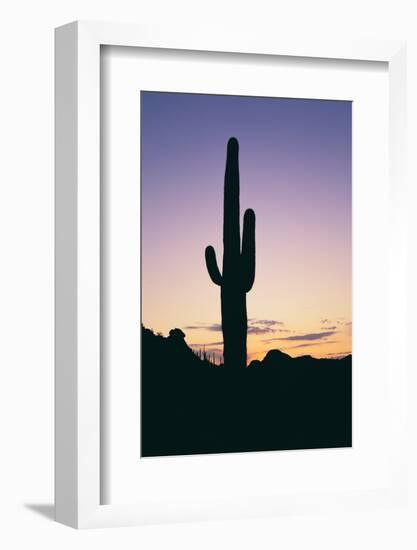 Saguaro Cactus-DLILLC-Framed Photographic Print