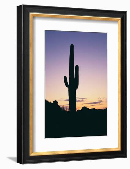 Saguaro Cactus-DLILLC-Framed Photographic Print