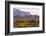 Saguaro Cactus-wollertz-Framed Photographic Print