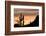 Saguaro Cactus-wollertz-Framed Photographic Print