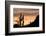 Saguaro Cactus-wollertz-Framed Photographic Print