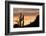 Saguaro Cactus-wollertz-Framed Photographic Print