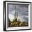 Saguaro Centurion (color)-Barry Hart-Framed Giclee Print