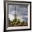 Saguaro Centurion (color)-Barry Hart-Framed Giclee Print