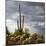 Saguaro Centurion (color)-Barry Hart-Mounted Giclee Print