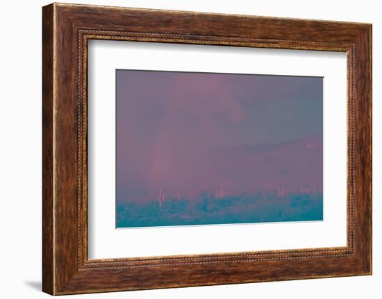 Saguaro Desert, Arizona-Art Wolfe-Framed Photographic Print