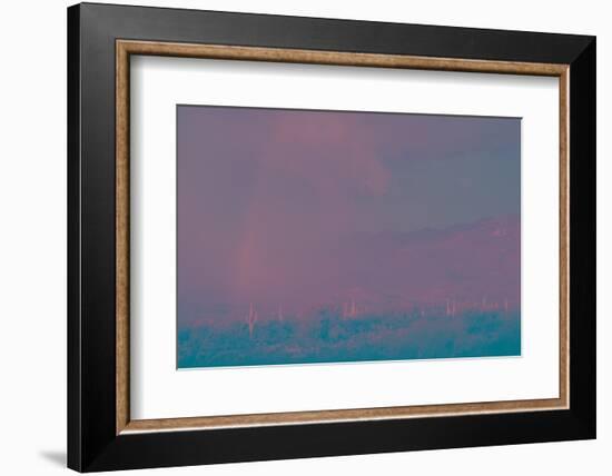 Saguaro Desert, Arizona-Art Wolfe-Framed Photographic Print