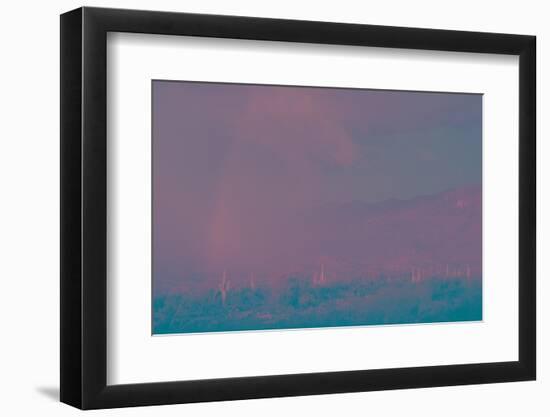 Saguaro Desert, Arizona-Art Wolfe-Framed Photographic Print