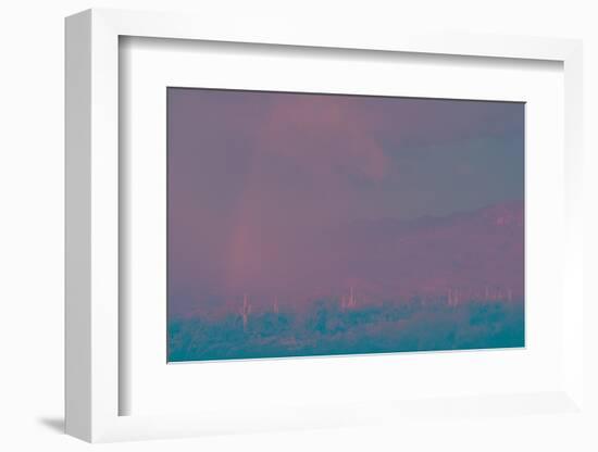 Saguaro Desert, Arizona-Art Wolfe-Framed Photographic Print