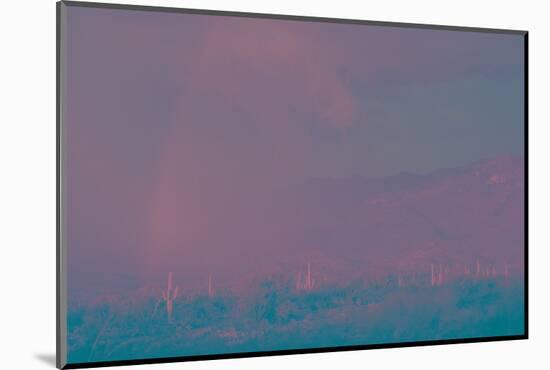 Saguaro Desert, Arizona-Art Wolfe-Mounted Photographic Print