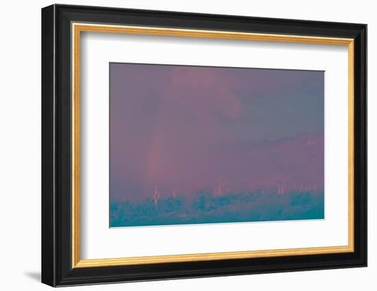 Saguaro Desert, Arizona-Art Wolfe-Framed Photographic Print