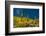 Saguaro, desert landscape, Tender Hills Park, Arizona, USA-Michel Hersen-Framed Photographic Print