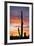 Saguaro Forest at Sunset, Saguaro National Park, Arizona, USA-Jamie & Judy Wild-Framed Photographic Print