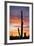 Saguaro Forest at Sunset, Saguaro National Park, Arizona, USA-Jamie & Judy Wild-Framed Photographic Print