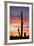 Saguaro Forest at Sunset, Saguaro National Park, Arizona, USA-Jamie & Judy Wild-Framed Photographic Print