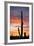 Saguaro Forest at Sunset, Saguaro National Park, Arizona, USA-Jamie & Judy Wild-Framed Photographic Print