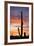 Saguaro Forest at Sunset, Saguaro National Park, Arizona, USA-Jamie & Judy Wild-Framed Photographic Print