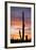 Saguaro Forest at Sunset, Saguaro National Park, Arizona, USA-Jamie & Judy Wild-Framed Photographic Print