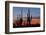 Saguaro Forest, Sonoran Desert, Saguaro National Park, Arizona, USA-null-Framed Photographic Print