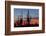 Saguaro Forest, Sonoran Desert, Saguaro National Park, Arizona, USA-null-Framed Photographic Print