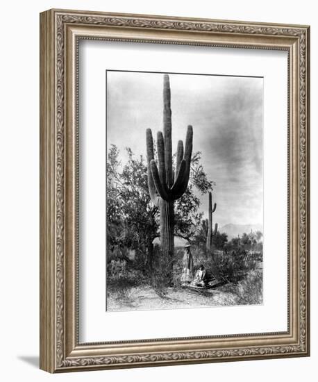 Saguaro Fruit Gatherers-Edward S Curtis-Framed Giclee Print