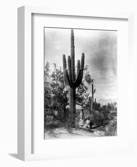 Saguaro Fruit Gatherers-Edward S Curtis-Framed Giclee Print