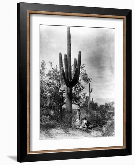 Saguaro Fruit Gatherers-Edward S Curtis-Framed Giclee Print