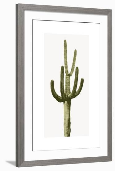 Saguaro III-Mia Jensen-Framed Giclee Print