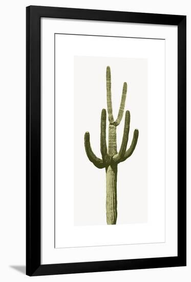 Saguaro III-Mia Jensen-Framed Giclee Print