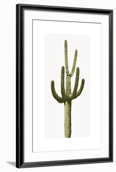 Saguaro III-Mia Jensen-Framed Giclee Print