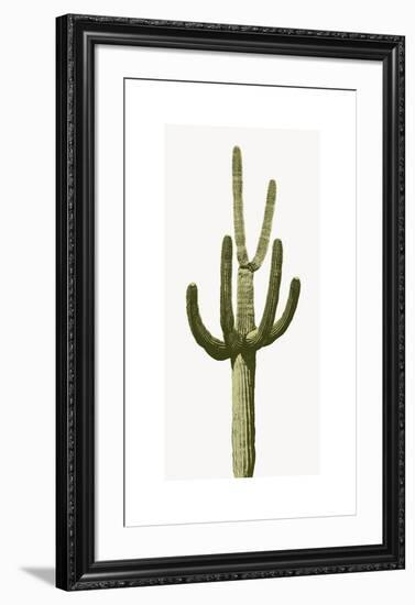 Saguaro III-Mia Jensen-Framed Giclee Print