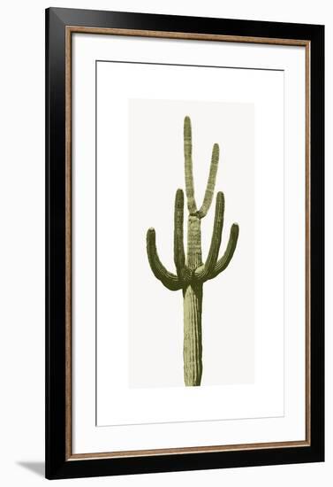 Saguaro III-Mia Jensen-Framed Giclee Print