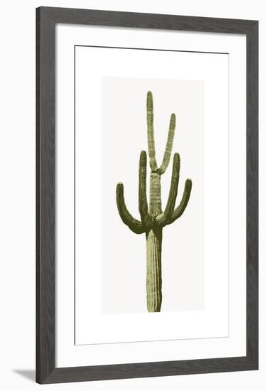 Saguaro III-Mia Jensen-Framed Giclee Print