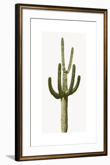 Saguaro III-Mia Jensen-Framed Giclee Print