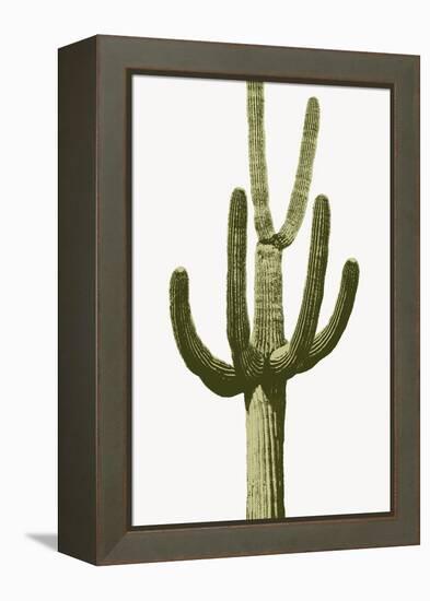 Saguaro III-Mia Jensen-Framed Stretched Canvas