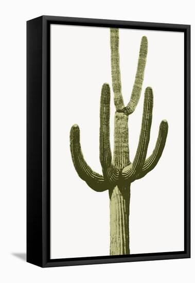 Saguaro III-Mia Jensen-Framed Stretched Canvas