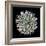 Saguaro Mandala I-Douglas Taylor-Framed Photographic Print