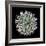 Saguaro Mandala I-Douglas Taylor-Framed Photographic Print