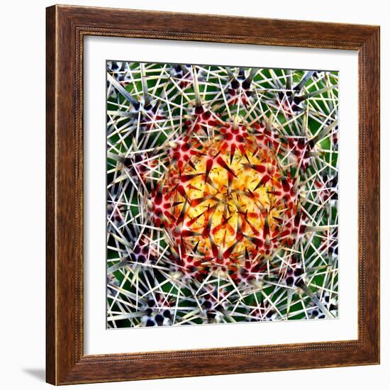 Saguaro Mandala II-Douglas Taylor-Framed Photographic Print