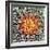 Saguaro Mandala II-Douglas Taylor-Framed Photographic Print