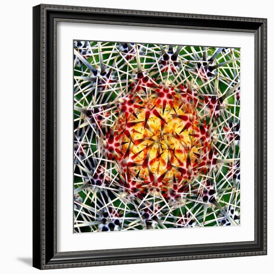 Saguaro Mandala II-Douglas Taylor-Framed Photographic Print