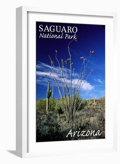 Saguaro National Park, Arizona - Cactus and Plants-Lantern Press-Framed Art Print