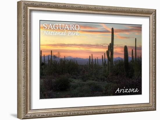 Saguaro National Park, Arizona - Cactus at Twilight-Lantern Press-Framed Art Print