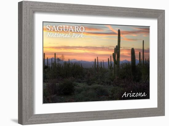 Saguaro National Park, Arizona - Cactus at Twilight-Lantern Press-Framed Art Print