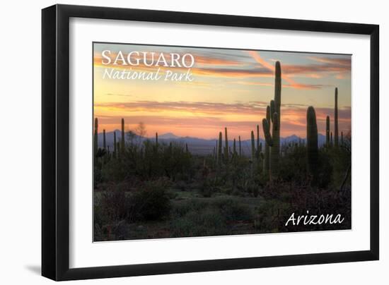 Saguaro National Park, Arizona - Cactus at Twilight-Lantern Press-Framed Art Print