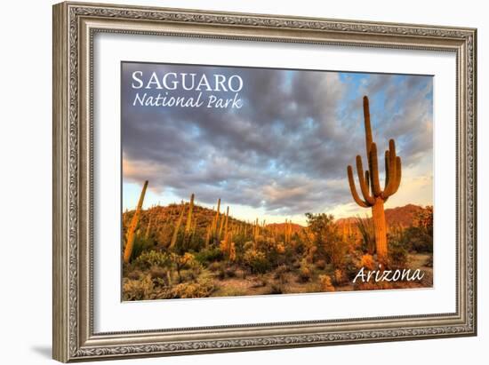 Saguaro National Park, Arizona - Day Scene-Lantern Press-Framed Art Print