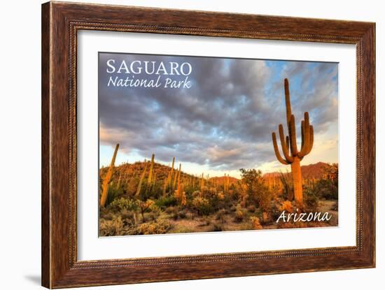 Saguaro National Park, Arizona - Day Scene-Lantern Press-Framed Art Print