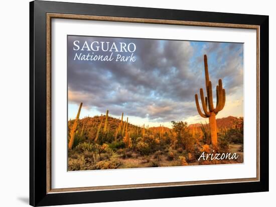 Saguaro National Park, Arizona - Day Scene-Lantern Press-Framed Art Print