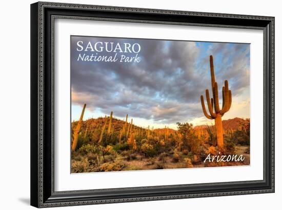 Saguaro National Park, Arizona - Day Scene-Lantern Press-Framed Art Print