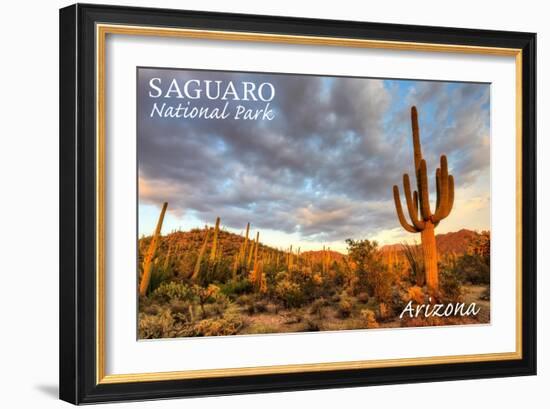 Saguaro National Park, Arizona - Day Scene-Lantern Press-Framed Art Print